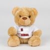 Bear in a t-shirt Thumbnail